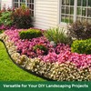 AGTEK Garden Edging 40FT Landscape Edging Kit 2 Inch Height