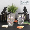 Servette Home 4 Pack Iridescent Skull Shaped Mason Jar with
