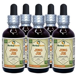 Jing Jie, Schizonepeta (Schizonepeta Tenuifolia) Tincture, Organic Dried Herb Liquid Extract (Brand Name: HerbalTerra, Proudly Made in USA) 5x2 fl.oz (5x60 ml)