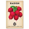 The Little Veggie Patch Co Radish Heirloom Seeds, 1 pack