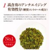 特桑茶 粉末90ｇ／特級桑の葉茶「琉球しまぐわRSD-1オーガニック」／有機JAS／ノンカフェイン
