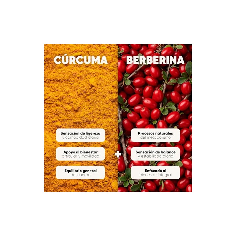 Berberina + Cúrcuma 180 Cápsulas Veganas Apoyo Cardiovascular homodeus