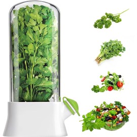XALVA Fresh Herb Keeper for Refrigerator - Space-Saving Cilantro Container for Fridge - Clear Herb Saver for Cilantro, Mint & Asparagus - Herb Preserver - Herb Savor Bottle - Fresh Herb Storage