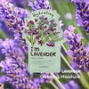 TONYMOLY I’m Lavender Sheet Mask – Korean Hydrating & Moisturizing