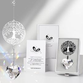 Elivida Retirement Gift for Woman Men, Best Gifts for Retirement 2025, You Shine The Work Rainbow Maker Cool Farewell Gifts, Going Away Gift Crystal Hanging Ornament for Coworker, Tree Life Design