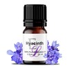 Hyacinth Fragrance Oil, 10 ml Premium, Long Lasting Diffuser Oils,
