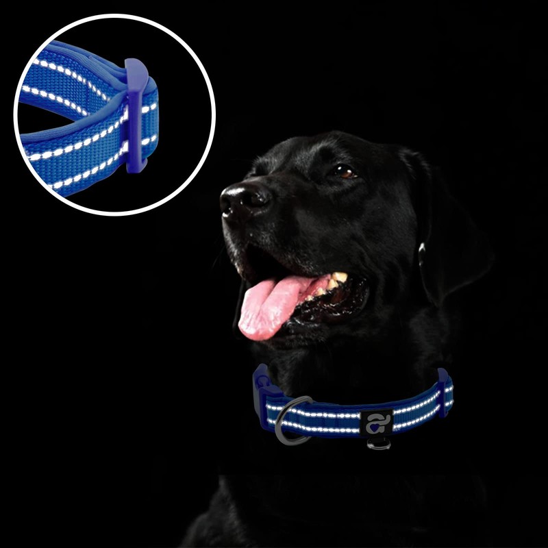 azuza Reflective Dog Collar with AirTag Holder, Pet Collar with