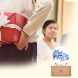 MISS LI GARDEN Forever Blue Hydrangea Crystal Ball with LED Lights,Best Gifts for Her Wife Girlfriend Women, Anniversary, Mothers Day, Birthday, Valentine's Day Home Décor