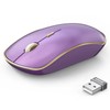 JOYACCESS Wireless Mouse - 2.4G Portable & Ergonomic with 5