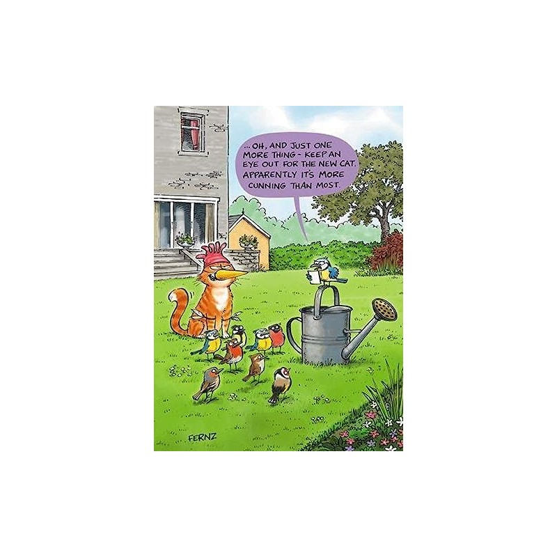 Humorous Greeting Card (PH6261) Birthday - New Cat - From