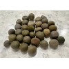 6 Semilla Quita Maldicion, Jinx Remover Seeds, Religion, Yoruba, Santeria,