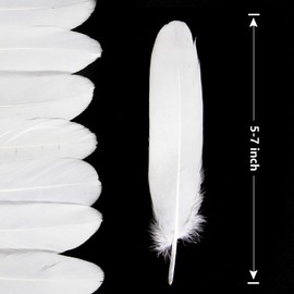 Lamar Feather Craft White Feathers 100pcs 5-7 inches Colorful Feathers for DIY Crafts Dream Catchers, Angel Wings and Wedding Party Christmas Home Decoration (White)