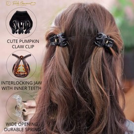 RC ROCHE ORNAMENT 12 piezas para mujer pulpo garras mandíbula calabaza clips para el pelo entrelazados dientes fuertes agarre antideslizante abrazadera de embrague francés clásico belleza accesorios de moda, pequeño marrón claro y negro