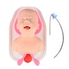 Ultrassist Neonatal Intubation Trainer, Pediatric Intubation Manikin, Infant Airway Management