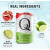 Q MIXERS Refreshers Sparkling Hydration Beverage Variety Pack (8PK) –