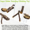 BNOSDM 6 Packs Wood Sugar Glider Toys Wooden Sugar Glider