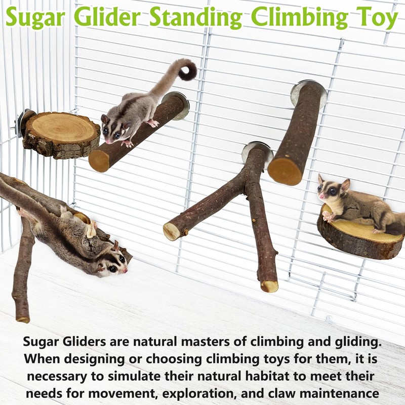 BNOSDM 6 Packs Wood Sugar Glider Toys Wooden Sugar Glider
