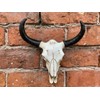 Best Value Here Wall Mounted Silver Stag Head Deer Large