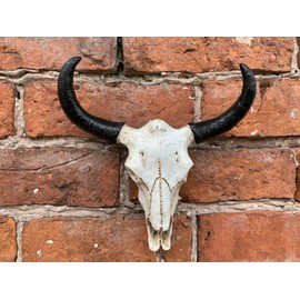 Best Value Here Wall Mounted Silver Stag Head Deer Large Antlers Reindeer Elephant Lion Tiger Rhino Wolf Wall Art Hanging Sculpture (Buffalo Skull)