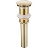 Tecmolog Bathroom Faucet Vessel Sink Drain Brass Pop Up Drain