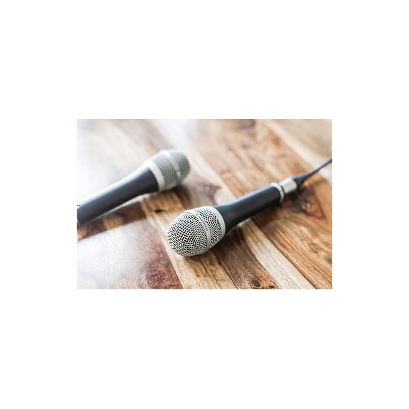 beyerdynamic 707260 TG V50 s Dynamic Vocal and Voice Microphone