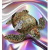 DolliBu Sea Turtle Stuffed Animal with Silver Cross and Personalization