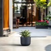 Kante Round Concrete Planter, 9 Inch Dia Classic Style Large