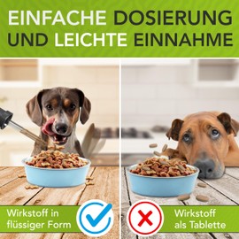 ENEMEL® Gelenk Komplex für Hunde [30ml] | Innovation durch Tropfen | Gelenkkomplex Hund | Made in Germany