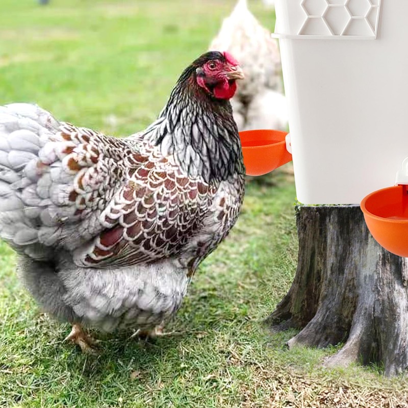Large Automatic Chicken Waterer Cups DIY Poultry Chicken Waterer Kit