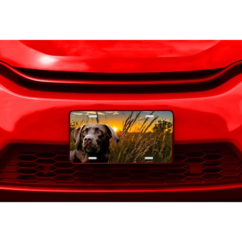 Twisted R Design Chocolate Lab Labrador Dog Vanity Aluminum Front