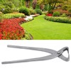 Branch Cutter 210mm Profession Portable Stainless Steel Bonsai Scissors with