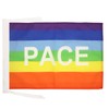 AZ FLAG RAINBOW PACE LETTER FLAG 18'' x 12'' cords