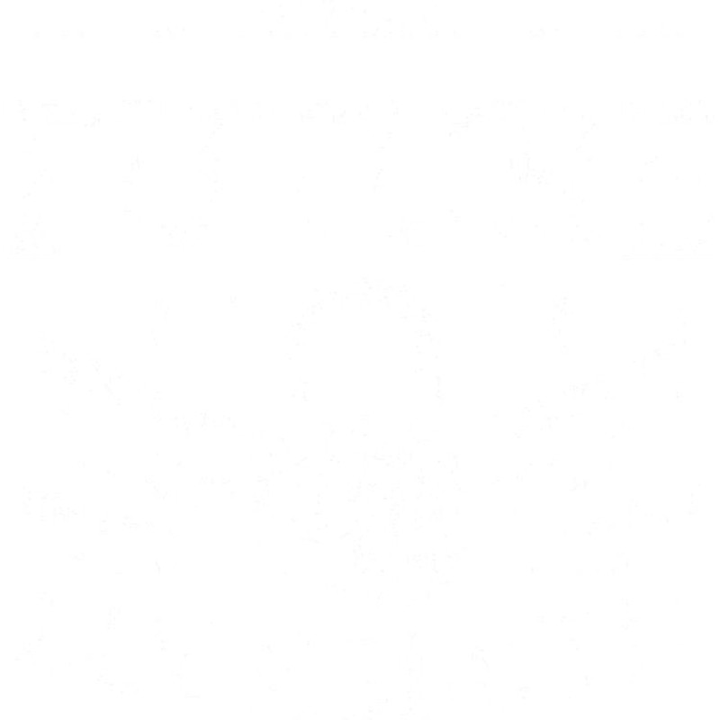 CafePress Future Locksmith Lock Locksmithing Euro Oval Car Bumper Magnet