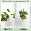 Zalizr 5 PCS Plant Stem Support, Metal Monstera Stabilizer Grapple