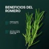 Shampoo Anticaída Romerox Tratamiento Cabello Y Barba