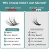 Eyelashes Individual SISILILY Cluster Lashes 144 Lash Clusters Indiviudual Lashes