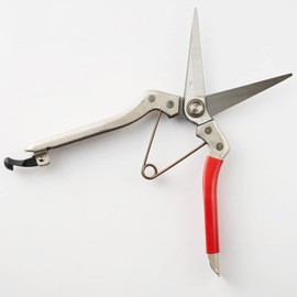 Geely Long Blade Bud Pruning Shears, Made in Japan, Made in Sanjo, Niigata Prefecture, High Quality, Professional Specifications, For Fine Tasks, Vegetable Harvesting, Fruit Tree Sprouts and Pulling