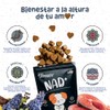 Waggys NAD+, Suplemento Antiedad y Longevidad para Perros, 60 pzs