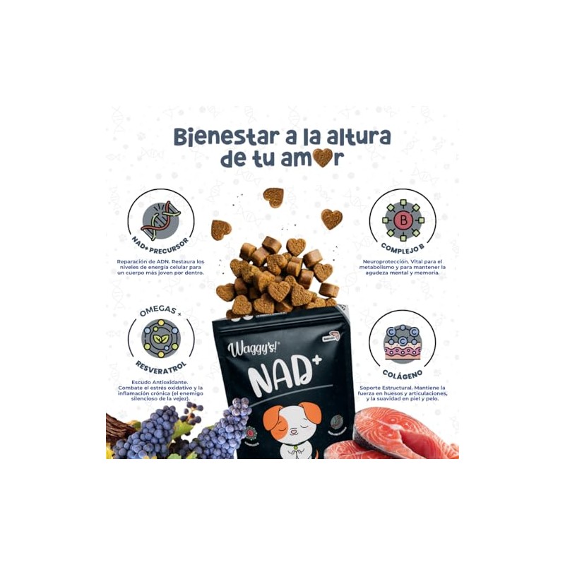 Waggys NAD+, Suplemento Antiedad y Longevidad para Perros, 60 pzs