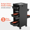 TASALON New Salon Trolley Cart with Wheels for Extra Storage,