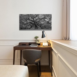 Canvbay Large Black and White Old Tree Canvas Wall Art Decor Nature Landscape Picture Tree of Life Giclee Prints Framed for Living Room Bedroom Home Decoration 20x40inch