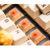 Kinetic Labs Gateron EF Curry Linear Switches - Size: 18