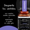 BIENAT AROMATERAPIA Aceite Esencial de Nueva Lavanda 10mL
