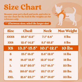 rabbitgoo Small Dog Harness, Step-in Soft Mesh Puppy Vest, Easy Walk with Safety Buckle, Breathable Reflective Pet Harness for Small Sized Dogs, Orange XS