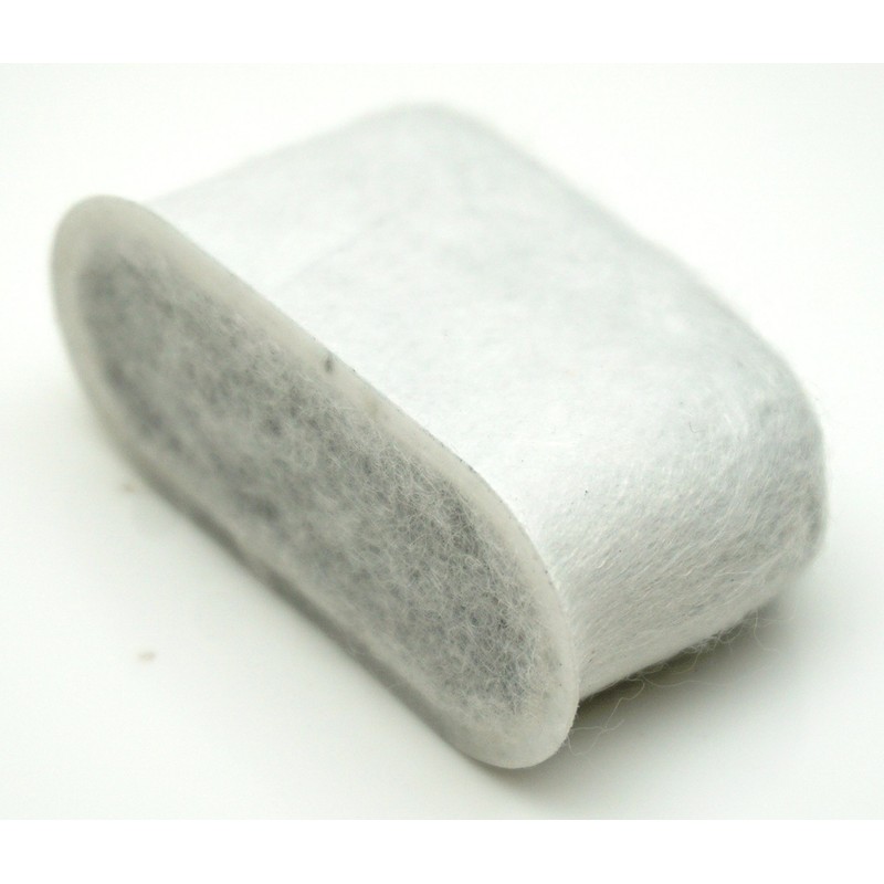 Delonghi 7313285779 Carbon Filter