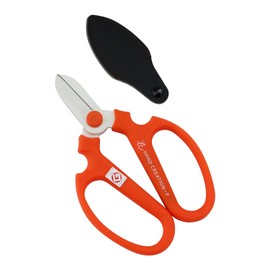 handokurie-syon Orange Queen F170