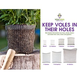 VOLE KING Plant Baskets - Gopher and Vole Baskets, 15 Gallon, Pack of 1 - Protect Plants, Trees, Flowers and Bulbs from Voles, Gophers and Moles - A One Time Solution, No Repellent Needed