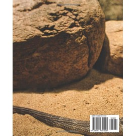  The Bearded Dragon Handbook: A Comprehensive Guide for Novice Owners: Navigating the World of Bearded Dragons: From Selection to Care and Beyond