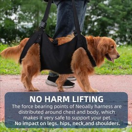 Carrying Aid, Dog Stairs, Dog Lift Harness, Mobility Aids, Carrying Aid Dog Rear Legs, Adjustable, Provides Support for Medium Older Dogs, Weak Legs, Surgery, Rehabilitation (XL
