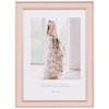 FUJICOLOR 506390 Pastel Color Frame, 3202K, 2L Size, Pink